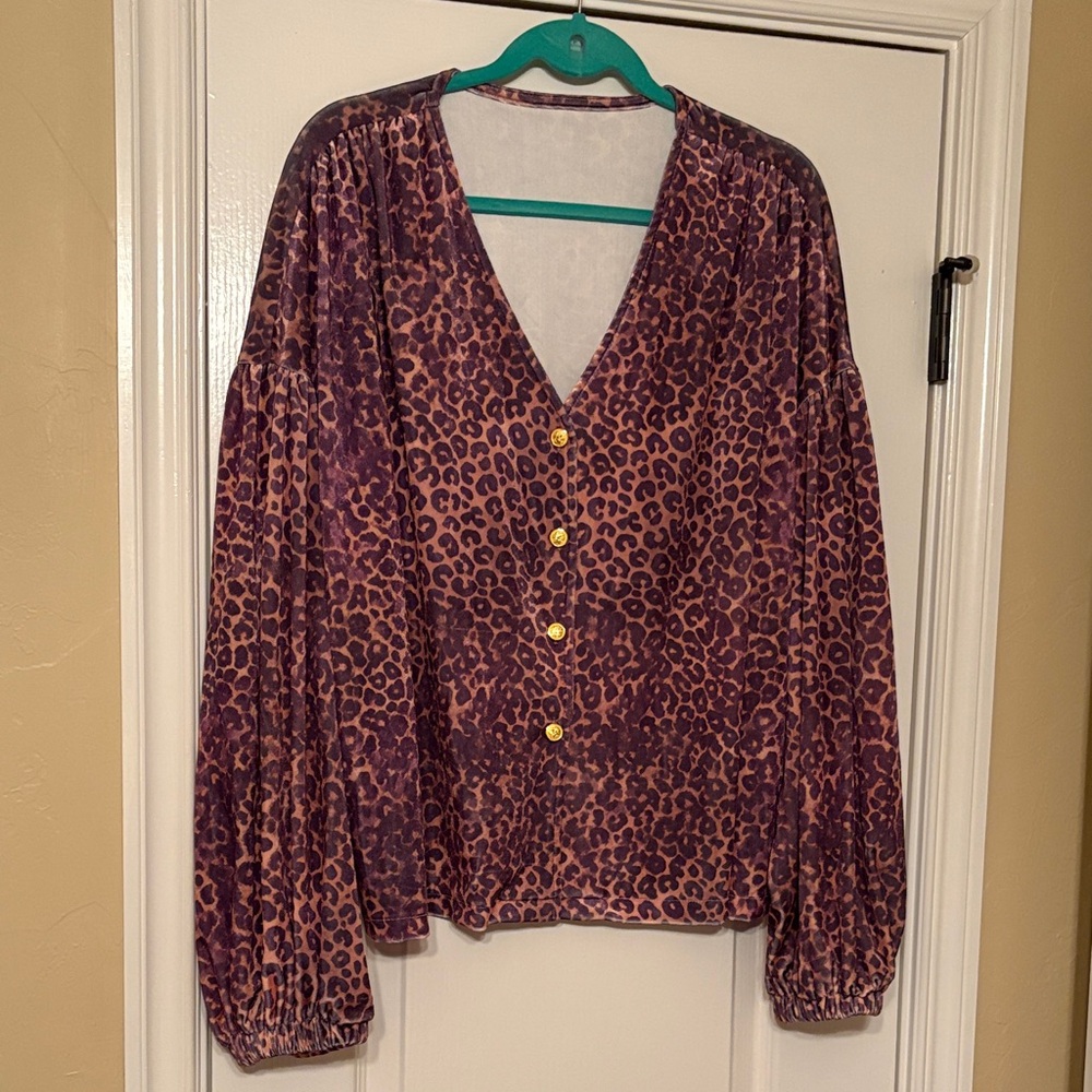 Leopard Print V-Neck Blouse
